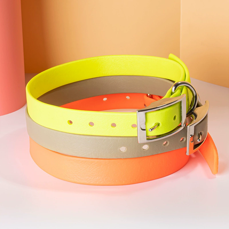 Basic Dog Collar