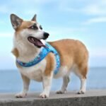 微信图片_20250416113758