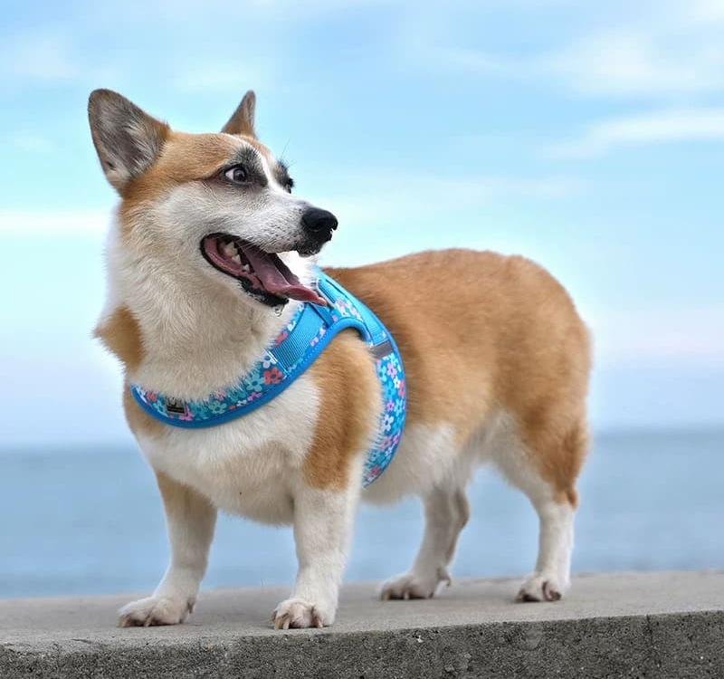 微信图片_20250416113758