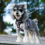 微信图片_20250416113819