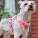 微信图片_202504161138191