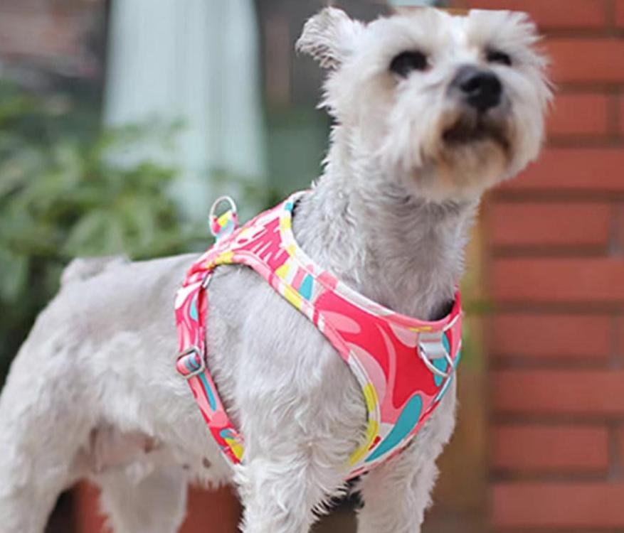 微信图片_202504161138191