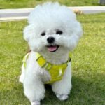 微信图片_202504161138192