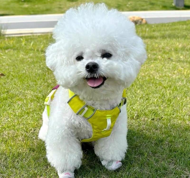 微信图片_202504161138192