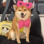 微信图片_202504161138193