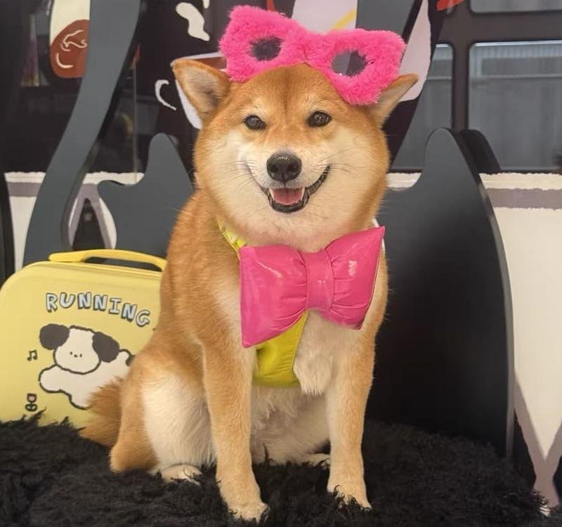 微信图片_202504161138193