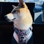 微信图片_202504161138194