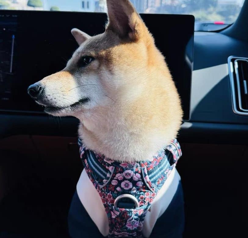 微信图片_202504161138194