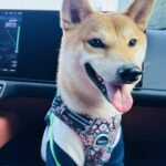 微信图片_20250416113820