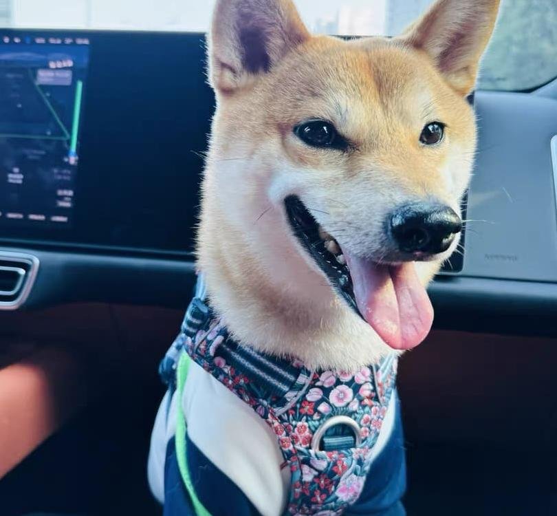 微信图片_20250416113820