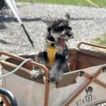 微信图片_202504161138201