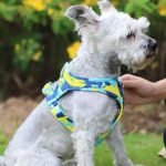 微信图片_202504161138202