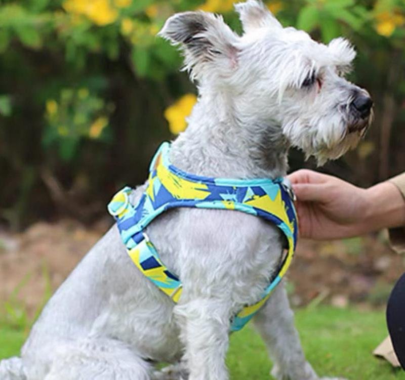 微信图片_202504161138202