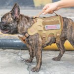 微信截图_20250416112956