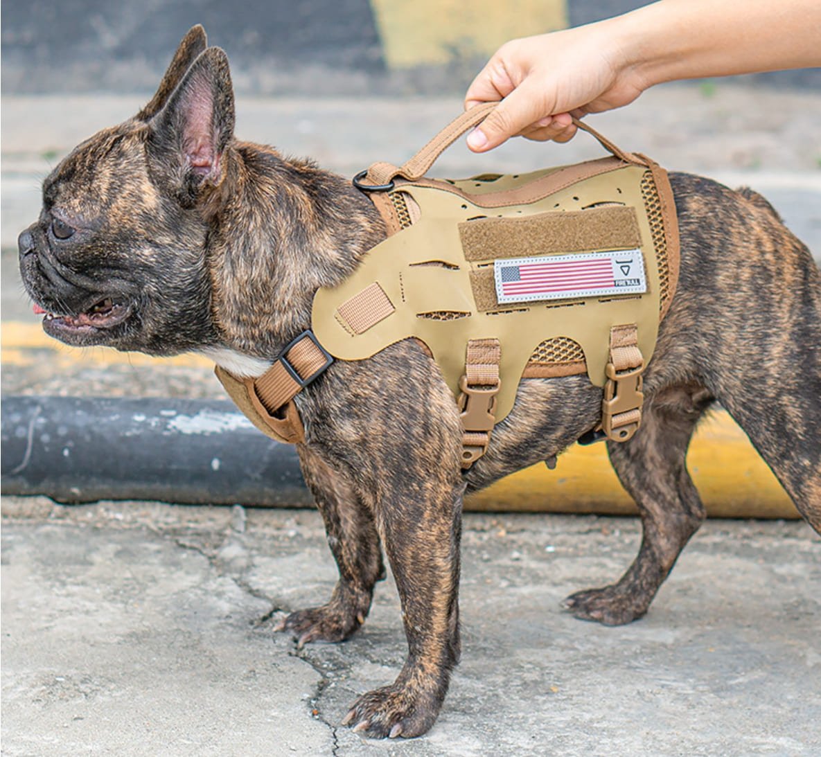 微信截图_20250416112956