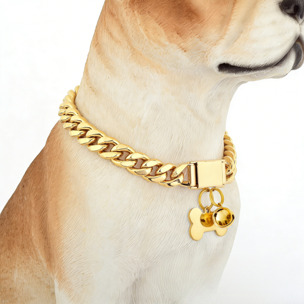chain-dog-collar