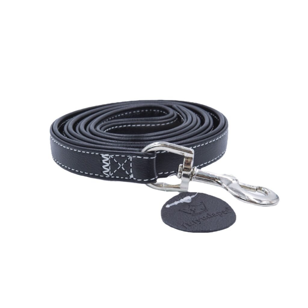 High-quality Leather dog leash
